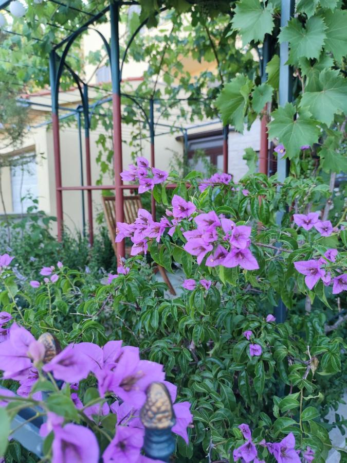 Summer Time Премантура Экстерьер фото
